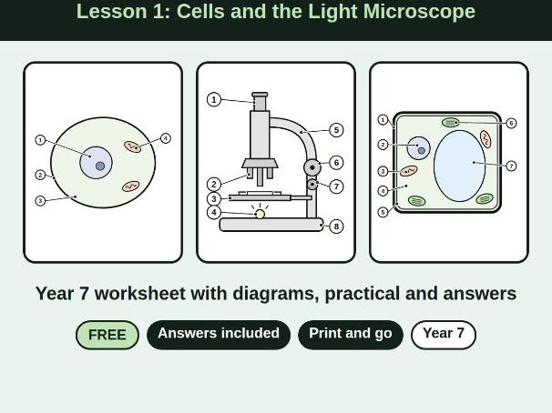 KS3 Biology: Cells. Lesson 1 with diagrams, practicals  answers
