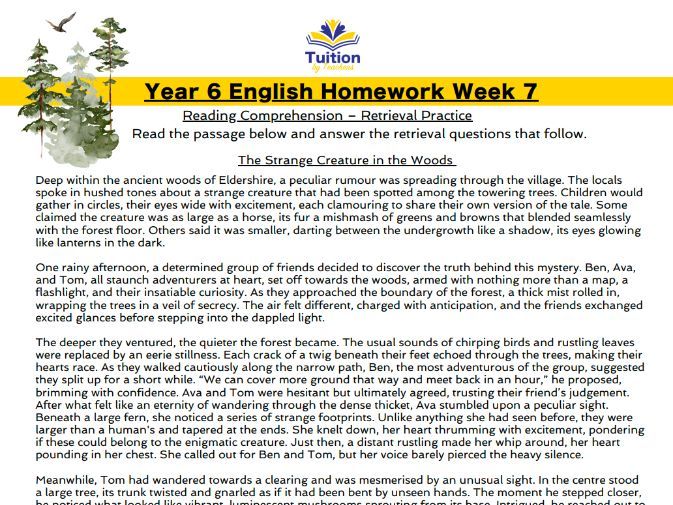 7. Year 6 - Reading Comprehension & Punctuation