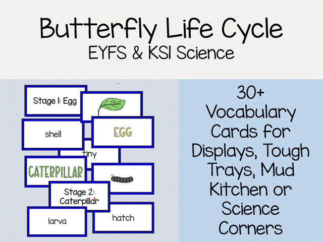 Butterfly Life Cycle Vocabulary Cards – EYFS Science Display & Minibeast Activity Resource
