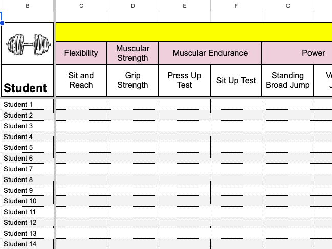 PE Teacher Google Sheets Bundle