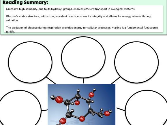 B1.1.4 Form & Function of Monosacharides DIFFIT READING COMPREHENSION