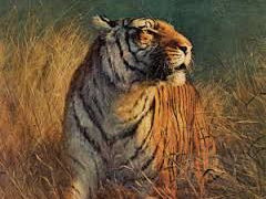 ‘The Tyger’ PPT - William Blake