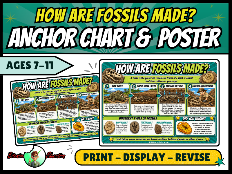 How Are Fossils Made? Anchor Chart & Poster | Year 3 and 4