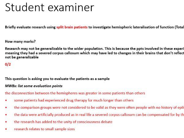 AQA Psychology biopsychology revision