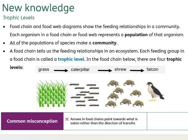 Trophic levels