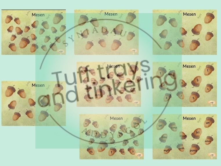 mesen subtilising autumn hydref mathemateg maths early years foundation phase