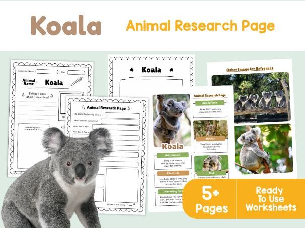 Koala Animal Research Page | Australian Animals KS2 Science Worksheets