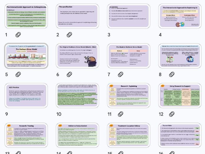AQA Schizophrenia: Interactionist Approach NEW 2025 Specification