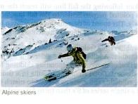 GB's Alpine Skiing Winter Olympic team