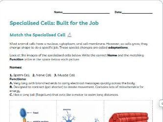 KS3 Biology