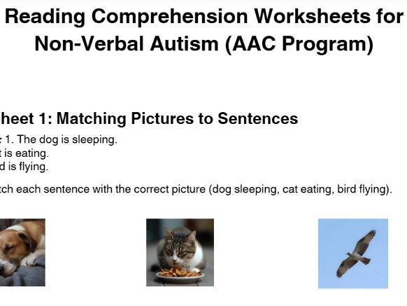 Text based Reading Comprehension Worksheets for Non Verbal Autism | AAC friendly