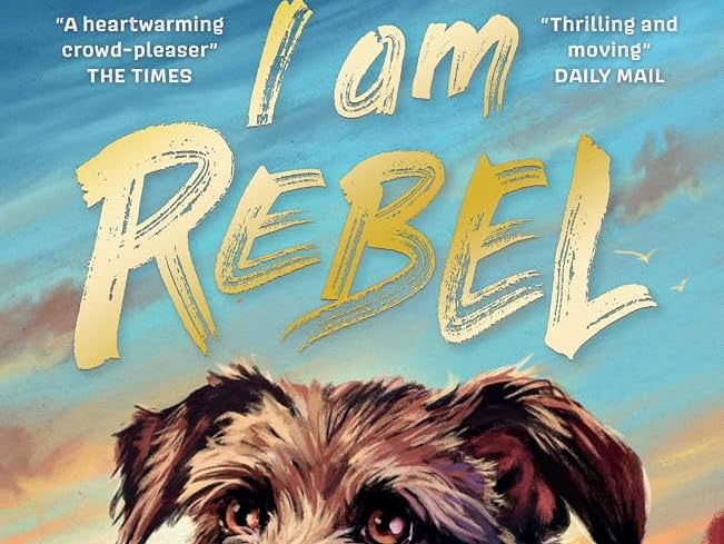 I Am Rebel Whole Book Reading Unit Years 3/4