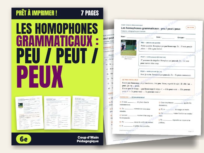 French Homophones peu peut peux Worksheet Grade 6 | Homophones peu / peut / peux