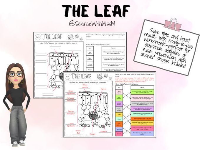 The Leaf Worksheet- KS4