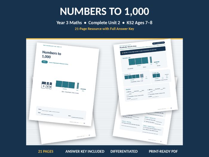 Numbers to 1000 Place Value Worksheets for Year 3 KS2 Maths