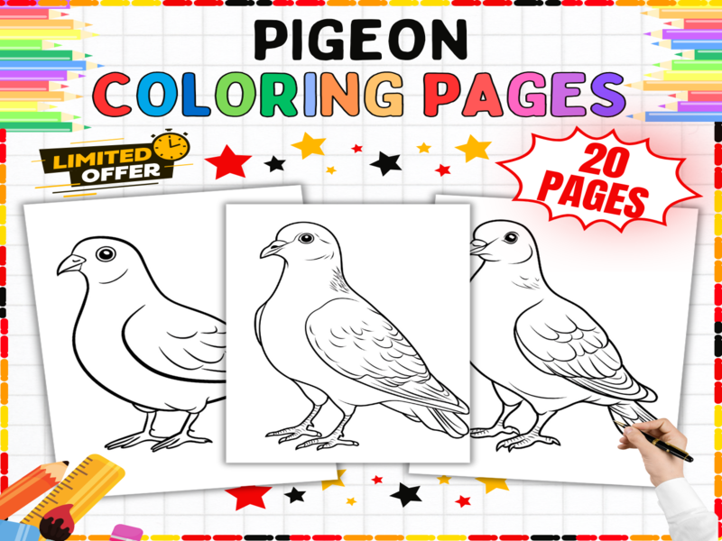 Pigeon Colouring Pages | 20 Bird Art Sheets | City Birds Urban Wildlife Educational Activities