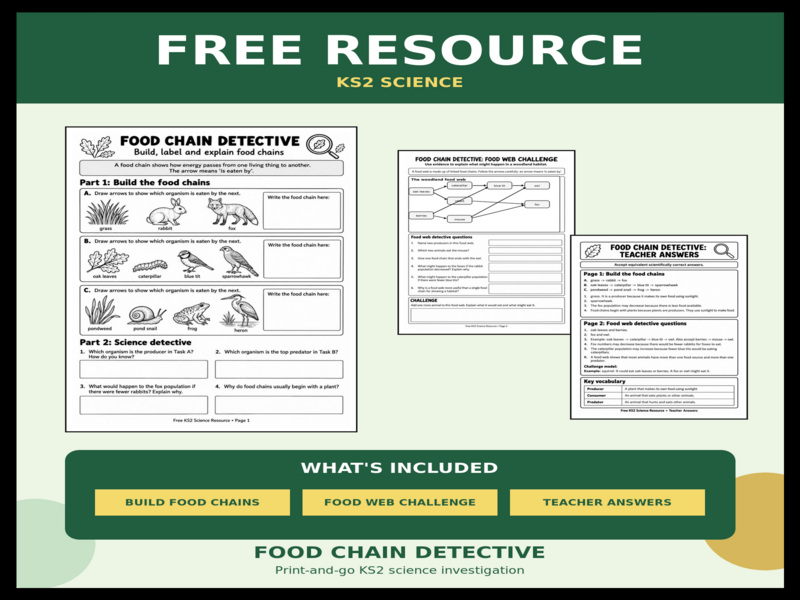 Food Chain Detective Free Resource | KS2 Science Worksheets with Answers