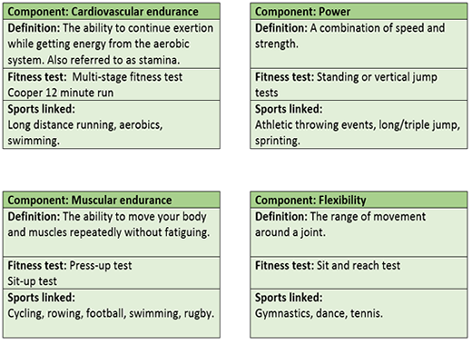 GCSE PE OCR Revision flash cards bundle