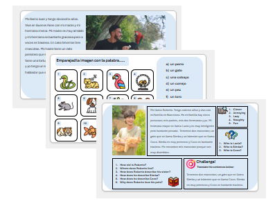 Pets  (Spanish)– Teaching & Assessment Package