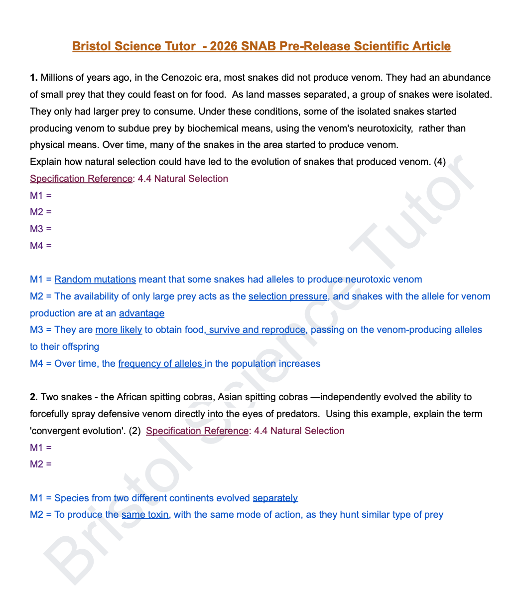 pdf, 174.53 KB