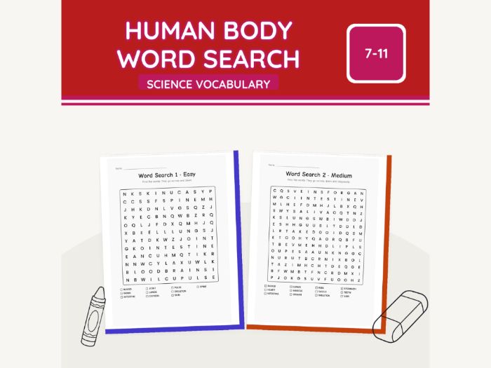 Human Body Word Search KS2 Science | 7 Sheets