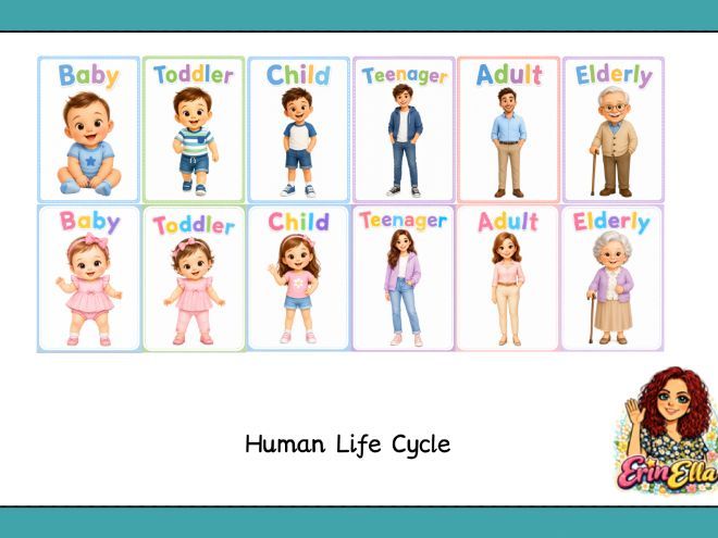 Human Life Cycle Pictures