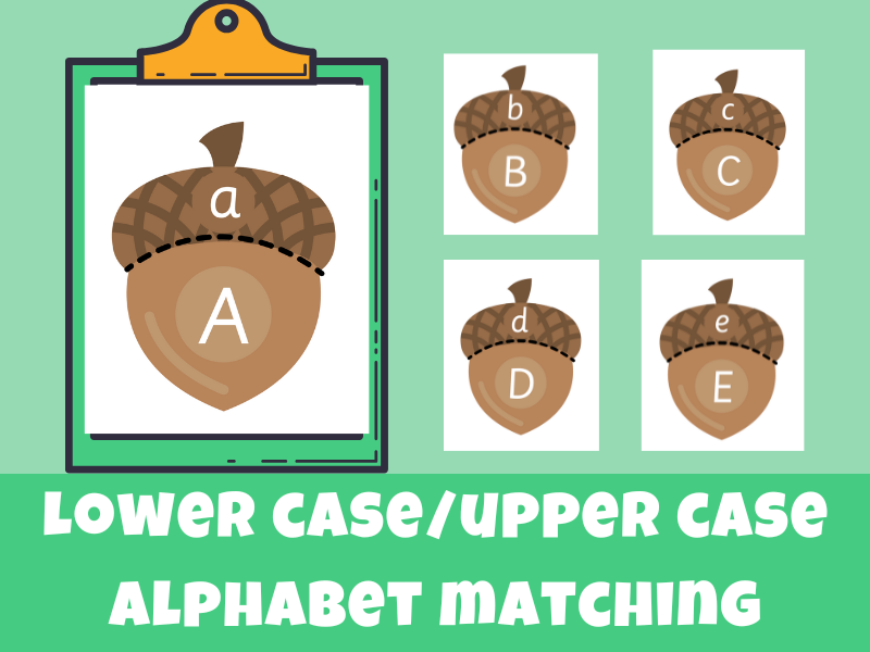Alphabet Matching - Lower case and Upper case - acorns