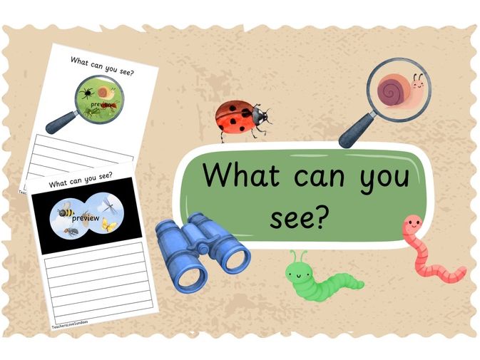 Minibeasts What Can You See?