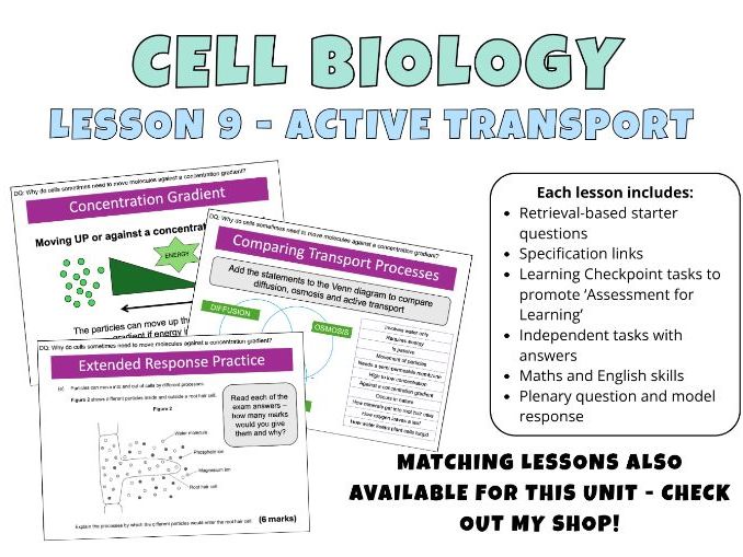 GCSE Cell Biology - Active Transport Complete Lesson