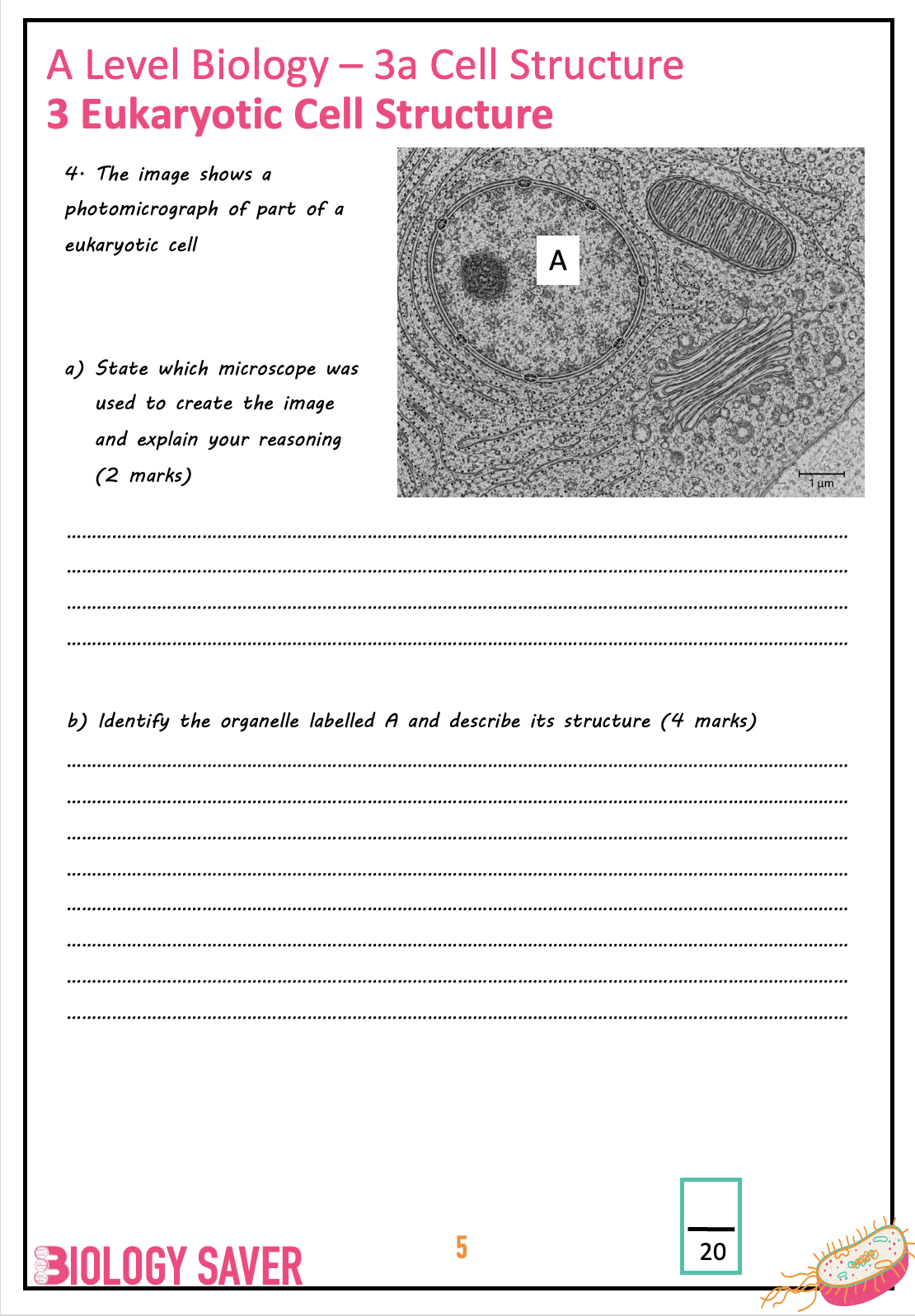 pdf, 1.1 MB