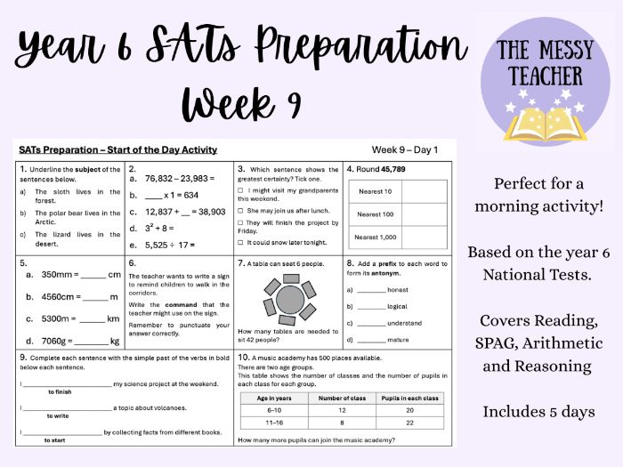 SATS Preparation Morning Activity - SPAG, Arithmetic and Reasoning - WEEK 9