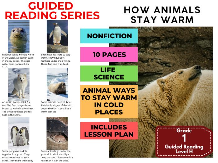 Guided Reading Level H - How Animals Stay Warm (with Lesson Plan)