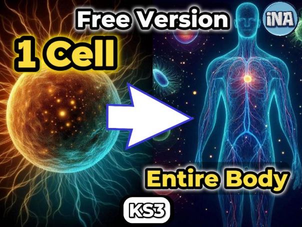 FREE Stem Cells Worksheet | GCSE Biology | KS3 Science | Video Quiz