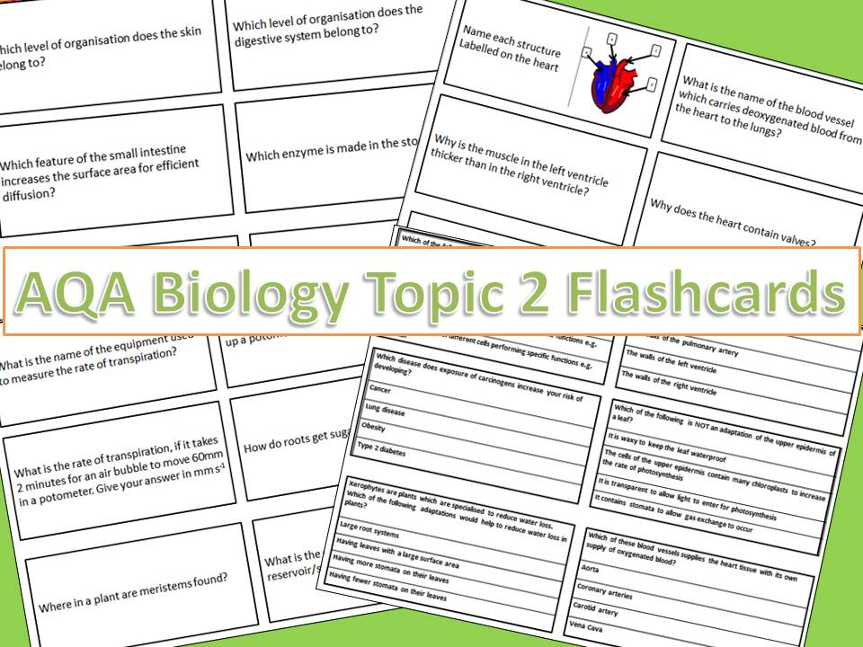 AQA GCSE Biology Topic 2Organisation Flash Cards