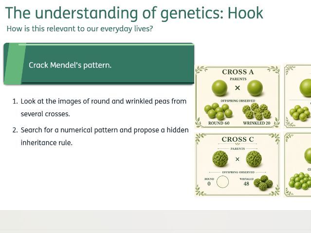 The understanding of genetics