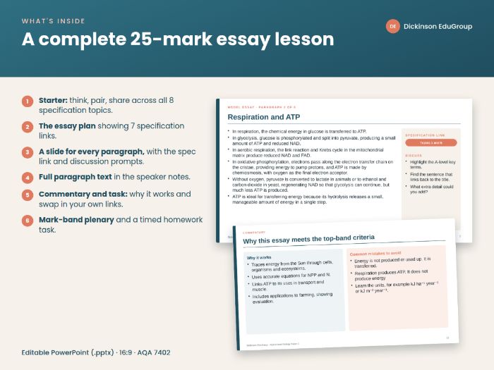 AQA Paper 3 Bio Essay: Energy Transfers