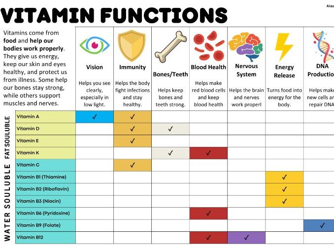 FREE Nutrition Revision Cards – Carbohydrates, Protein, Fats, Vitamins & Minerals