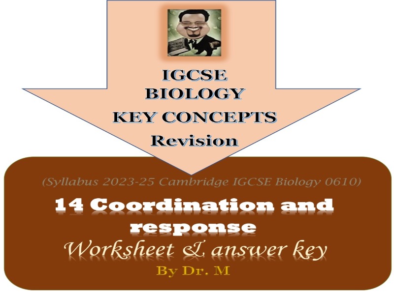 Coordination & response IGCSE WS & MS