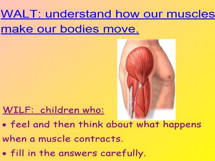 Science lesson all about understanding how muscles make our bodies move