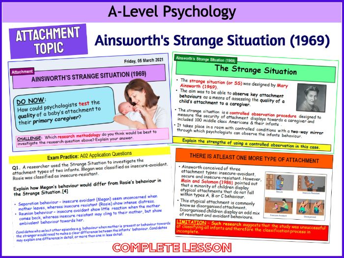 STRANGE SITUATION BUNDLE Includes Ainsworth's Original Strange