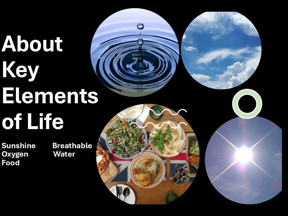 About - Key Elements of Life