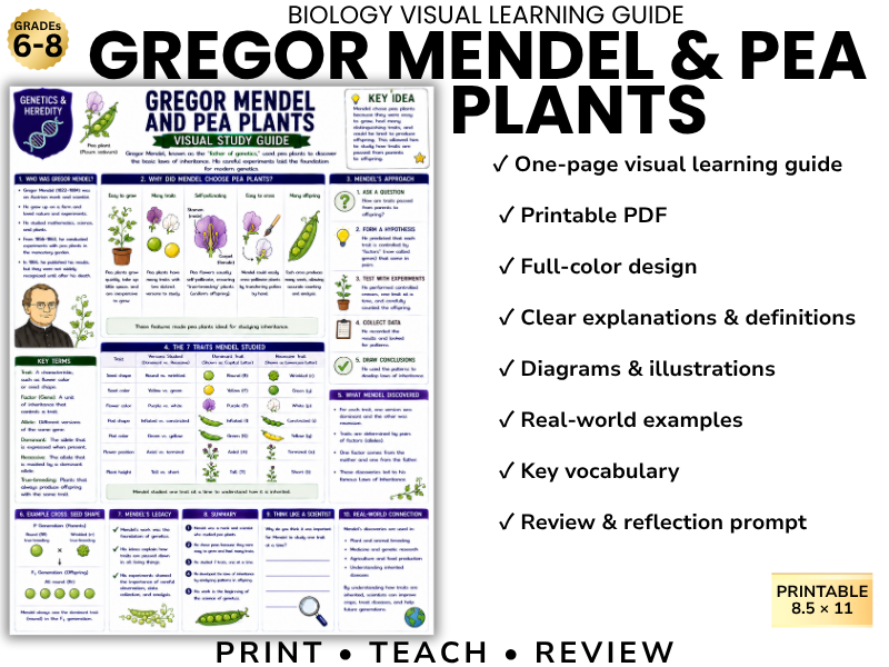 GREGOR MENDEL & PEA PLANTS | Biology Visual Learning Guide | Grade 8 & Middle School Science