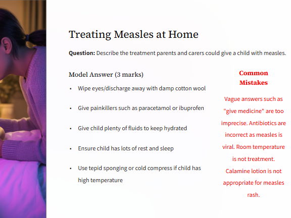 Child Development 2025 Exam Paper Feedback Bundle