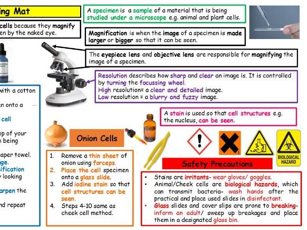 Cells learning mat (KS3 and KS4)
