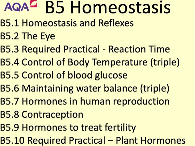 B5.3 Reaction Times Required Practical