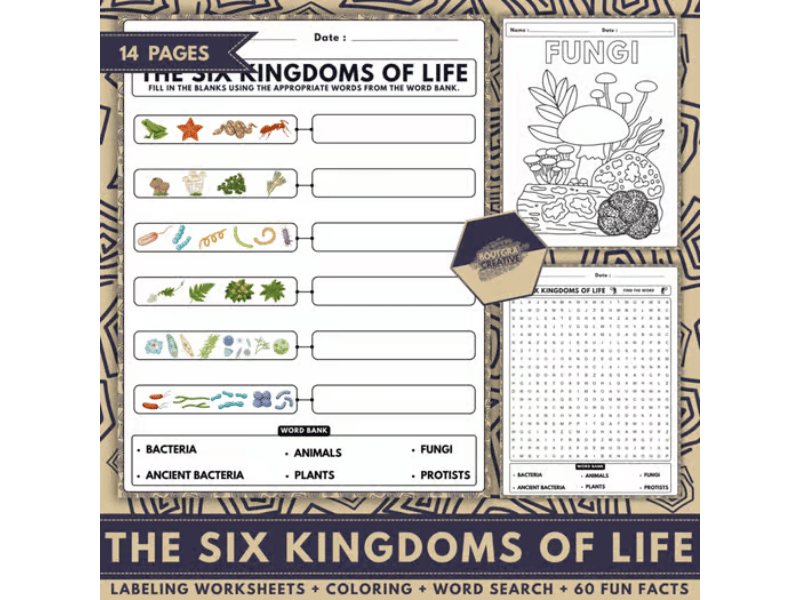 The Six Kingdoms of Life – Labeling Worksheets, Coloring Pages, Word Search