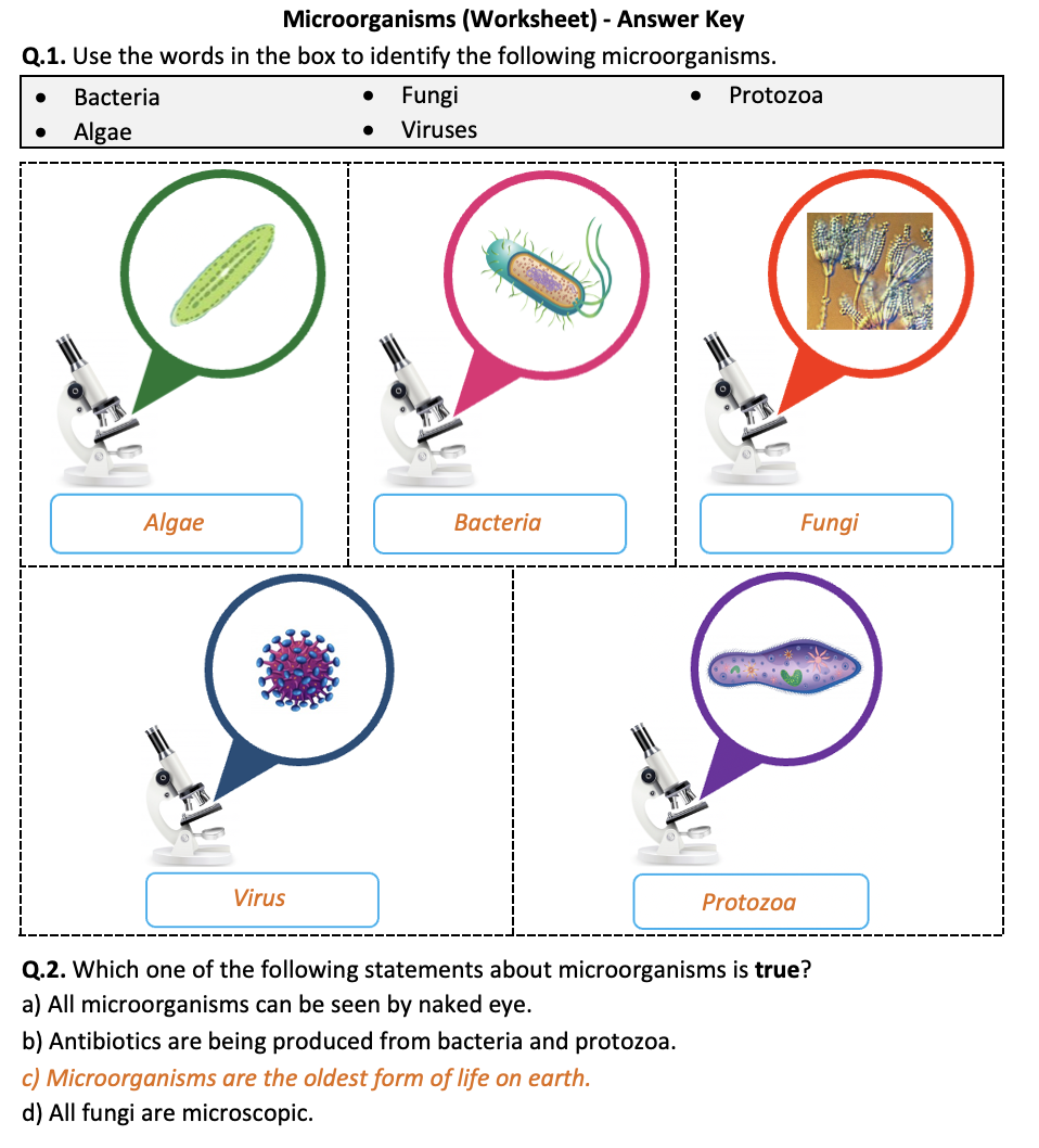 Microorganisms Worksheet Printable And Distance Learning Teaching Resources 2927