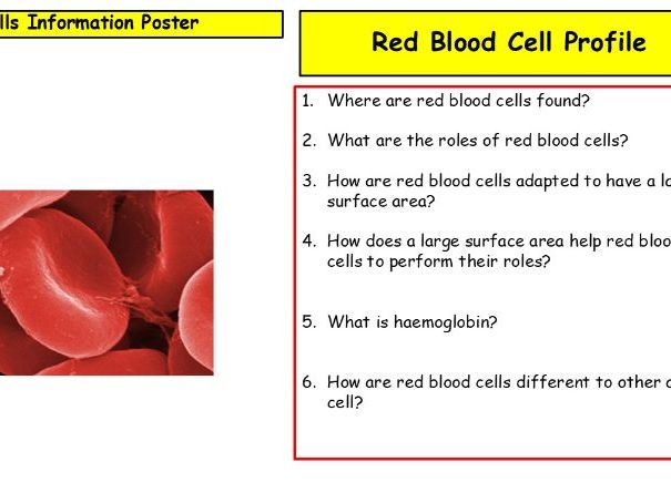 specialised cells activity FB profiles