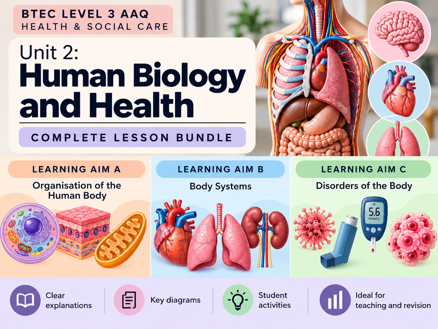BTEC Level 3 AAQ Health and Social Care -  Unit 2: Human Biology and Health- ALL LESSONS