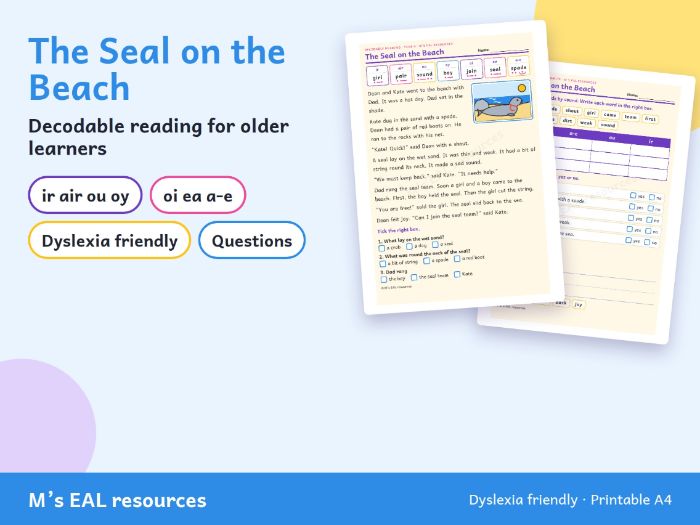 Decodable Reading for Older EAL Learners: The Seal on the Beach (ir air ou oy oi ea a-e)